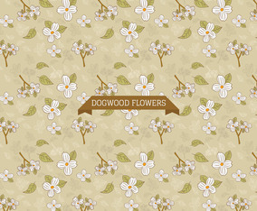 Dogwood Flowers Background