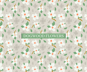Dogwood Flowers Background