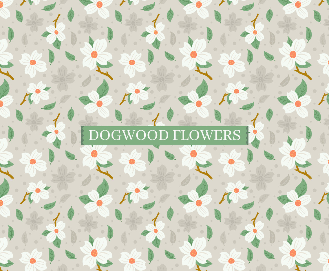 Dogwood Flowers Background