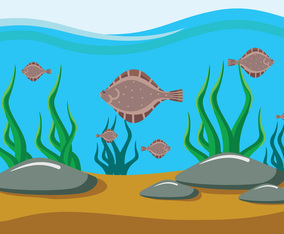 Flat Flounder Fish Illustration