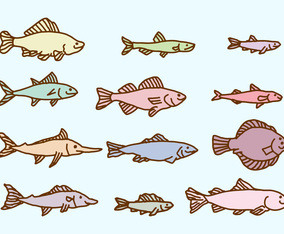 Sketch Fish Collection Vector