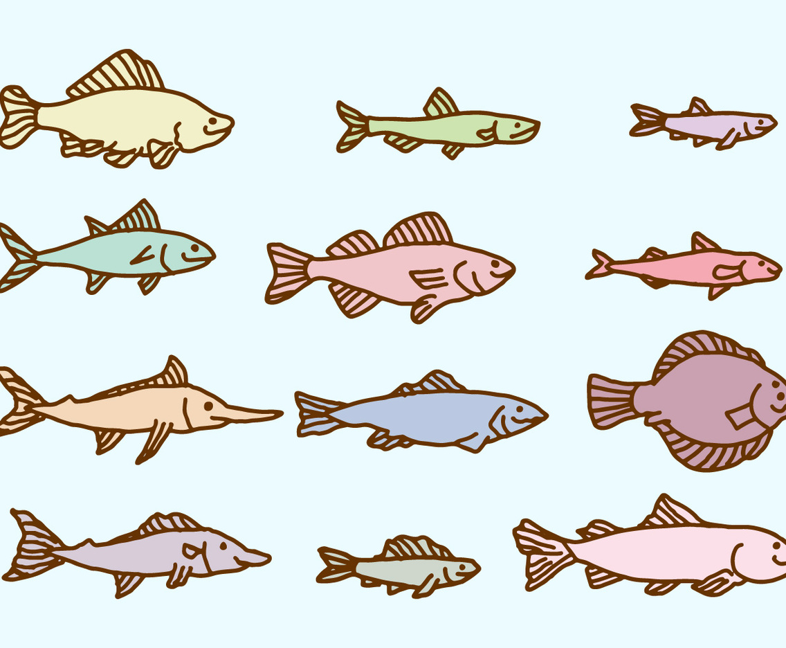 Sketch Fish Collection Vector