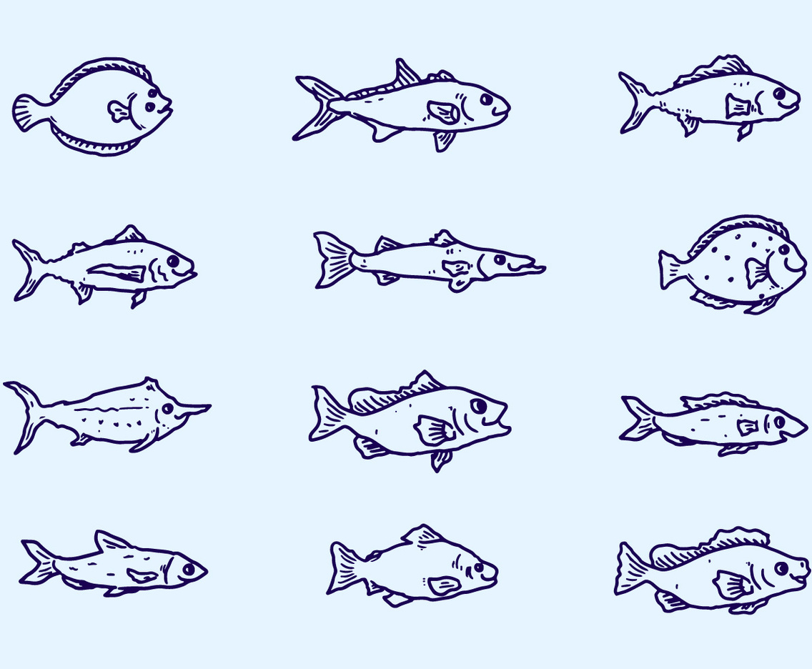 Sketch Fish Collection Vector