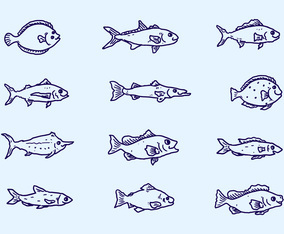 Sketch Fish Collection Vector