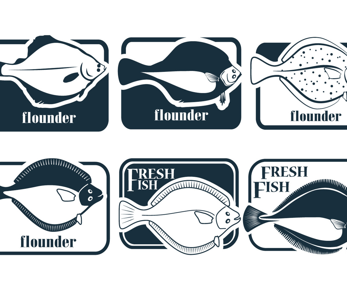 Fresh Fish Flounder Vectors