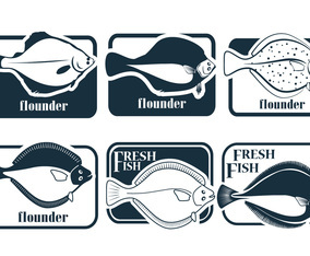 Fresh Fish Flounder Vectors