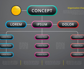 Organization Chart, Business Structure