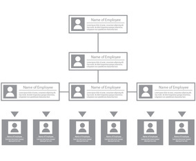 Organization Chart