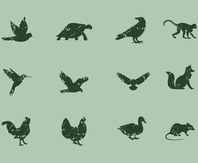 Animal Icons With Lithograph Style