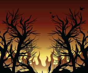 Burning Bush Illustration
