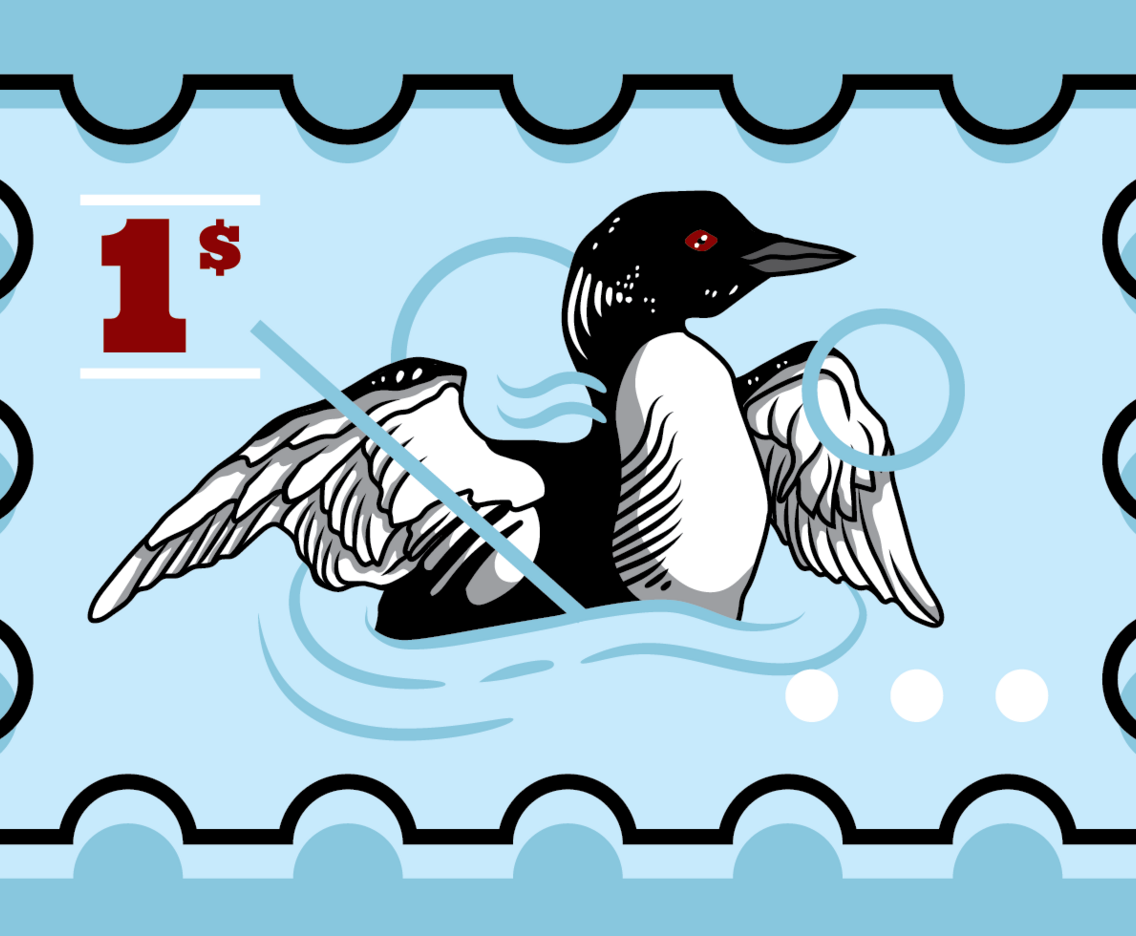 Loon Bird Vector