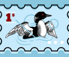 Loon Bird Vector