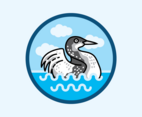 Loon Vector