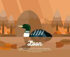 Loon Illustration