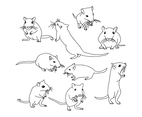 Gerbil Mouse