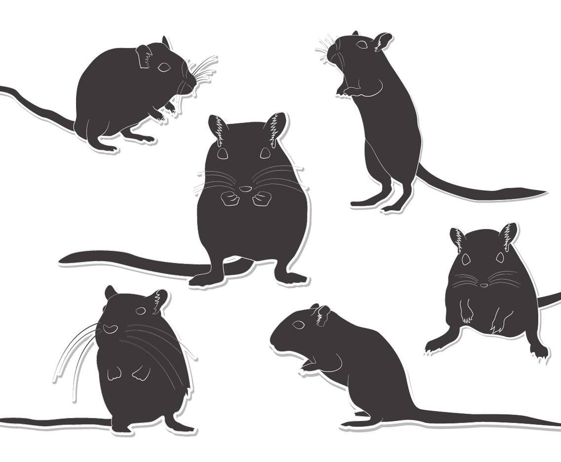 Sticker Silhouette Gerbil
