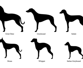 Whippet Silhouettes