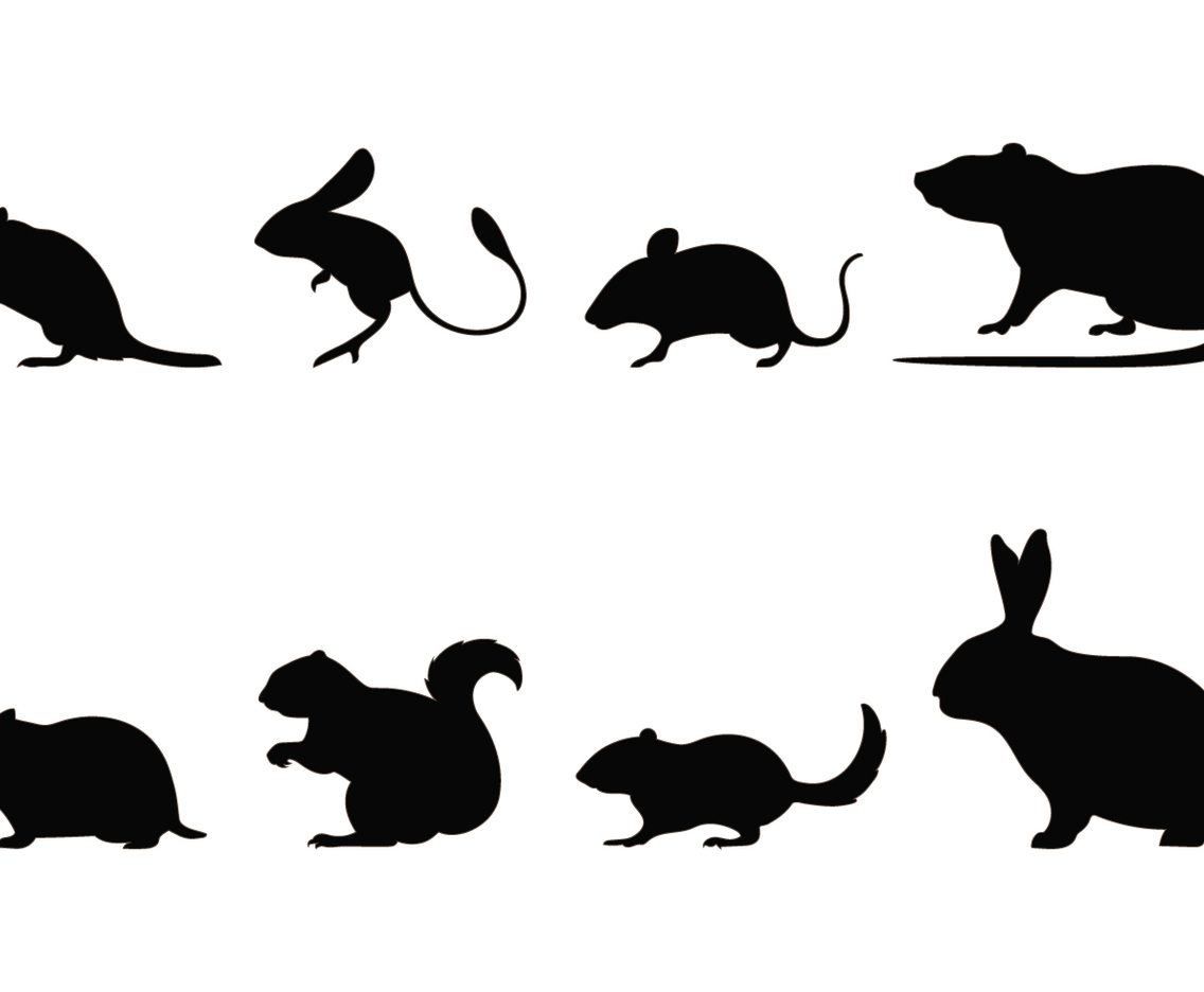 Rodent Silhouettes