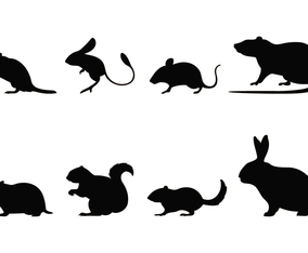 Rodent Silhouettes