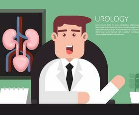 Urology Illustration