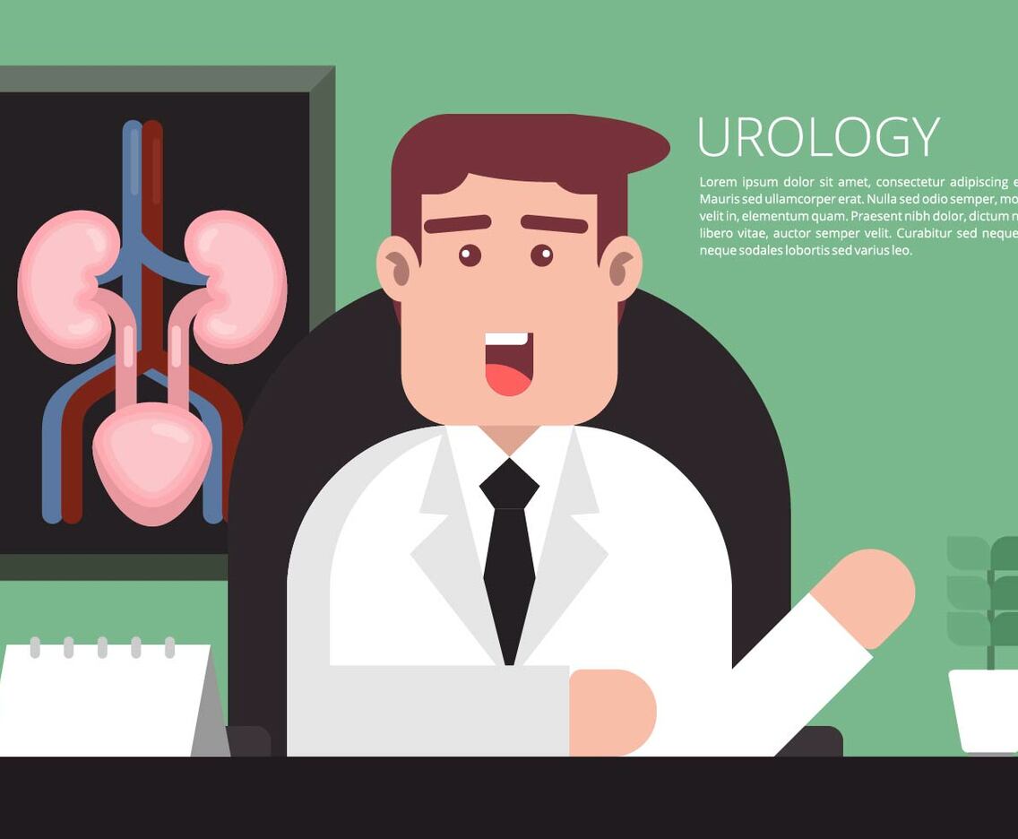 Urology Illustration