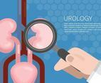 Urology Illustration