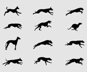 Whippet Silhouette