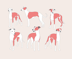 Whippet Vector