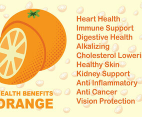 Orange Fruit Health Benefits Vector
