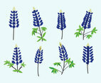 Bluebonnet Vector