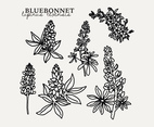 Botanical Bluebonnet