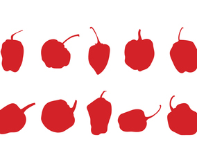Chili Pepper Silhouette Vector