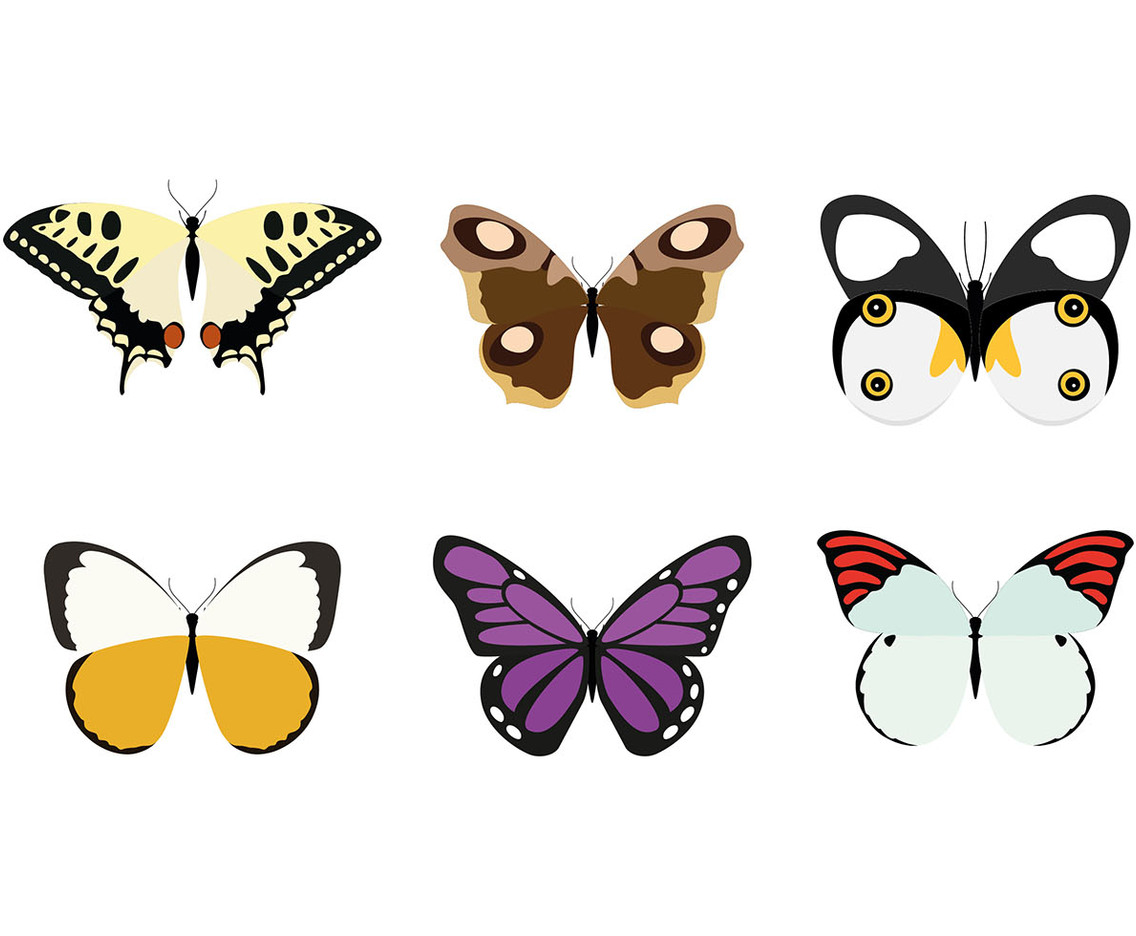 Mariposa Free Vector