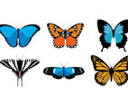 Butterfly Various Species Free Vector