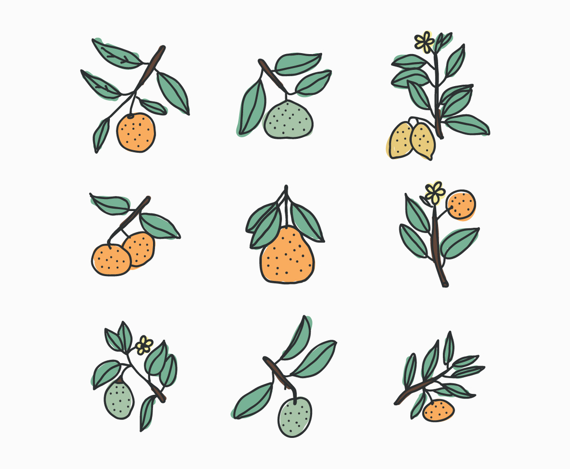 Citrus Doodles
