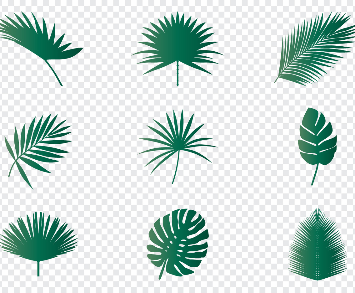 Palm Leaves