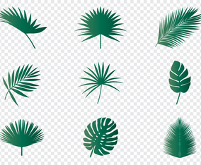 Palm Leaves