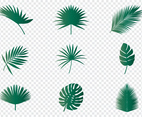 Palm Leaves