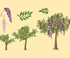 Wisteria Plant Grow Free Vector