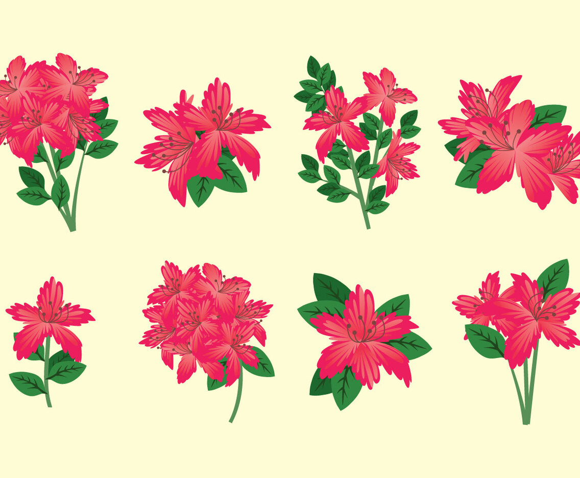 Rhododendron Vector