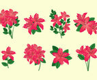 Rhododendron Vector