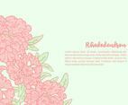 Rhododendron Background