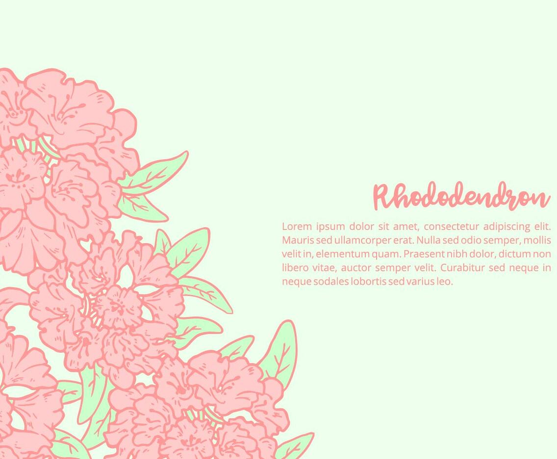 Rhododendron Background