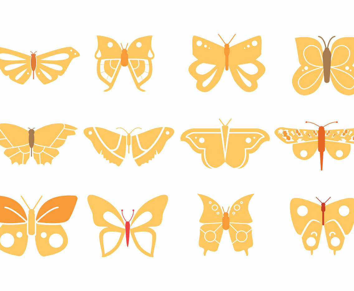 Butterflies Design