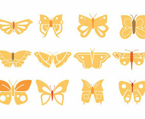 Butterflies Design