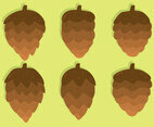 Pine Cones Collection Vector