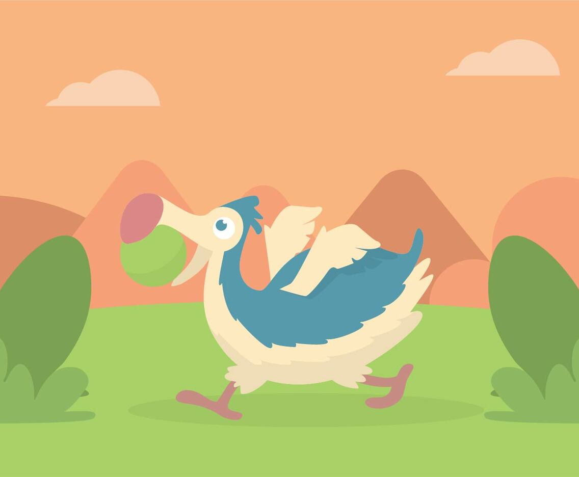 Dodo Illustration