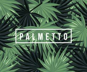 Palmetto Background