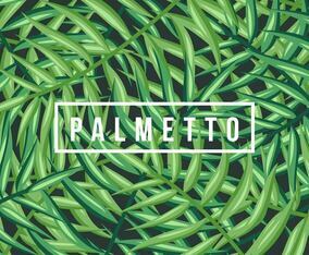 Palmetto Background