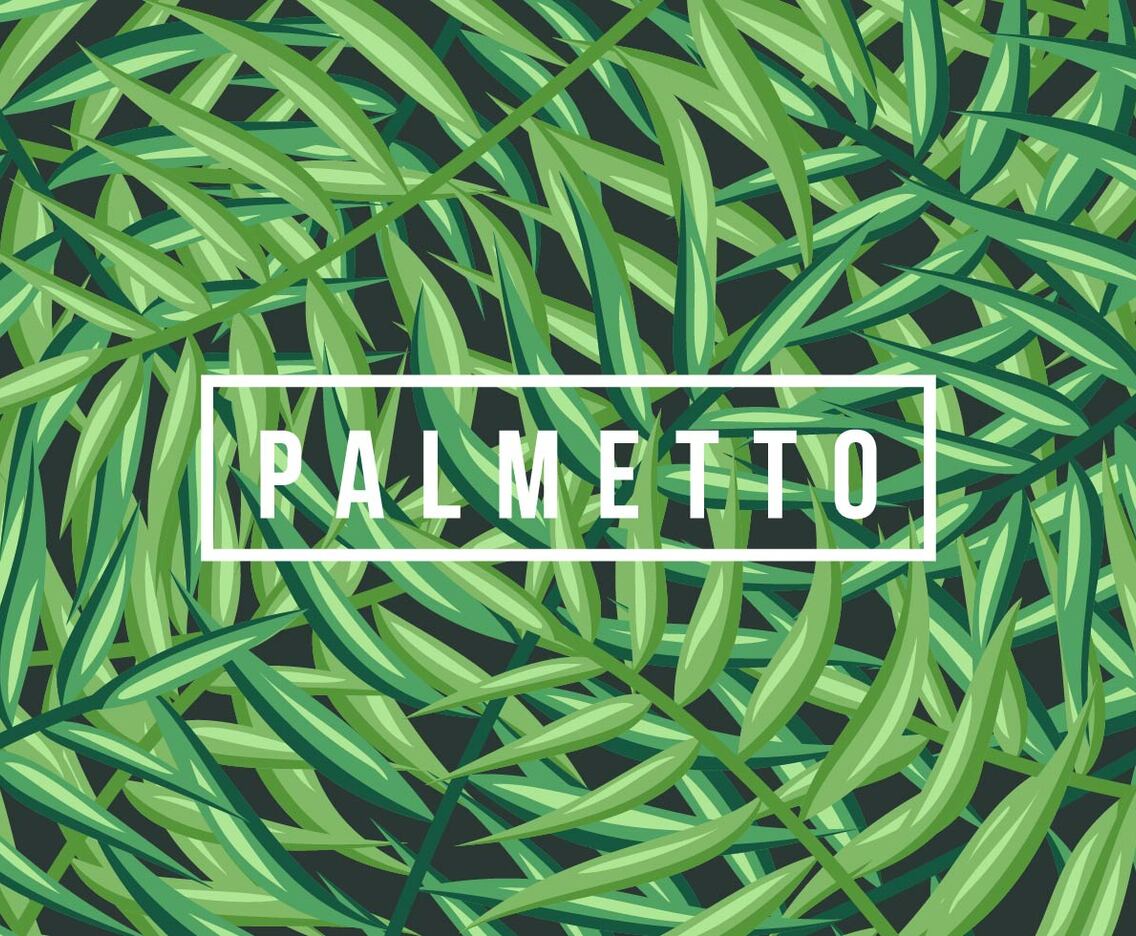 Palmetto Background